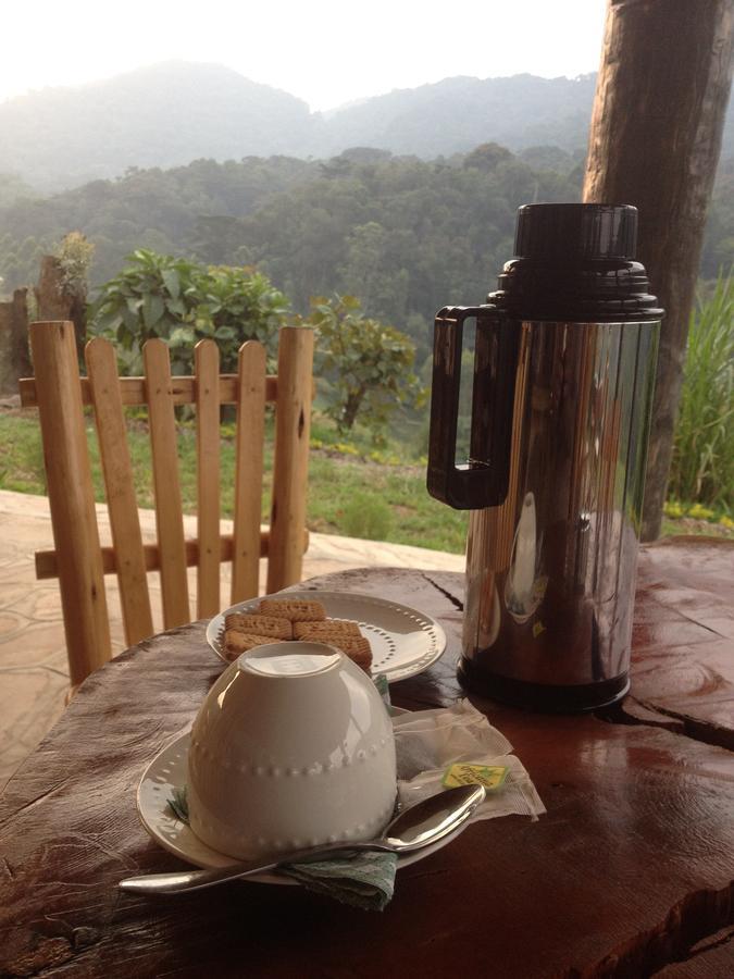 Rushaga Gorilla Lodge Bugambira Екстер'єр фото