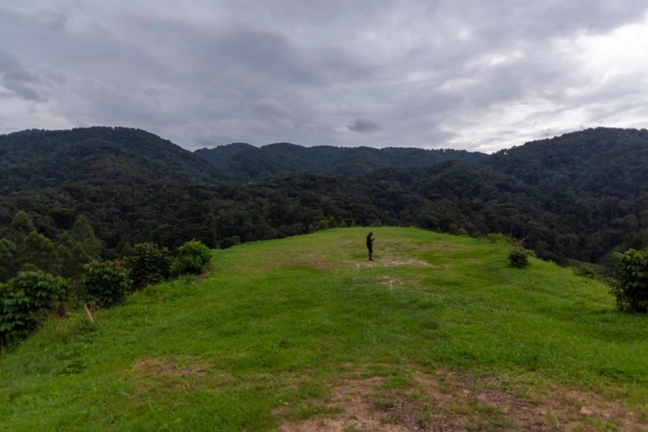 Rushaga Gorilla Lodge Bugambira Екстер'єр фото